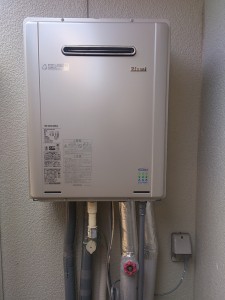 -e1395388010334-225x300[1]