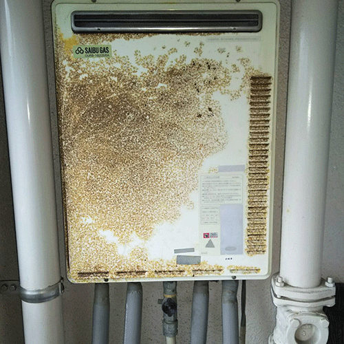 施工事例の画像
