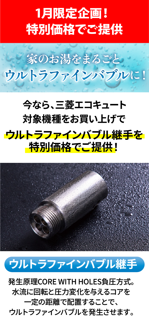 1月までの大特価！